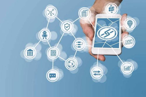 臻蓝i卡 为铲屎官量身打造的专业宠物技术服务